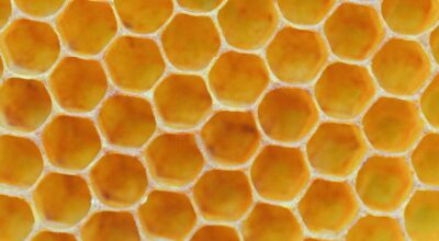 Beeswax