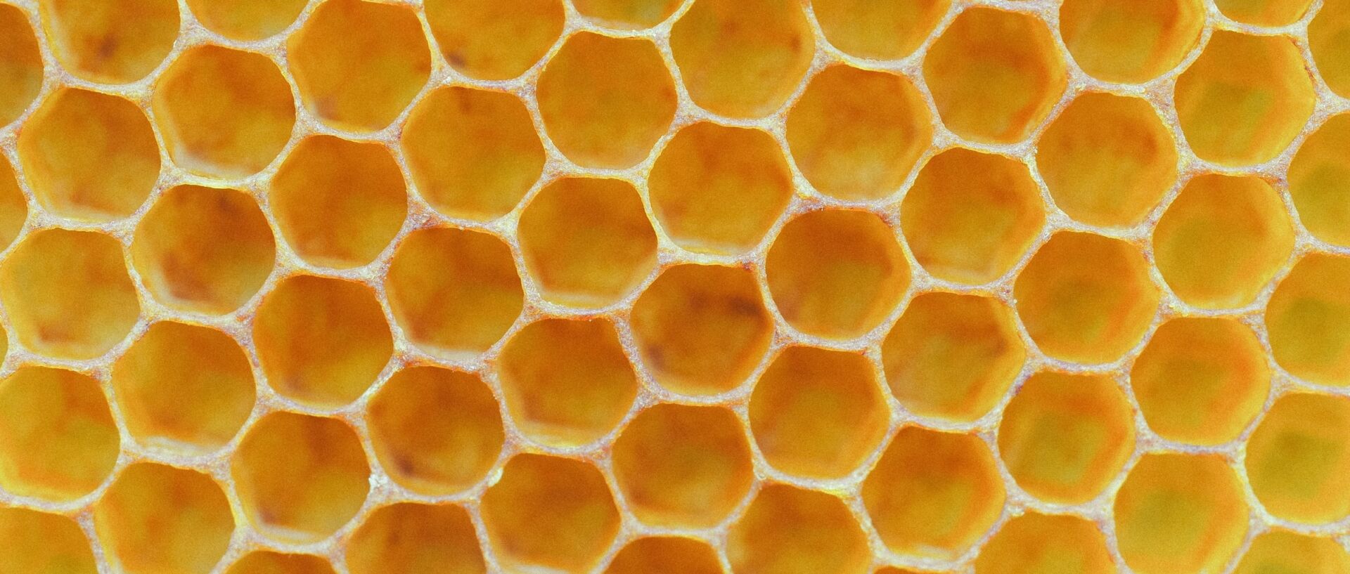 Beeswax in Industry