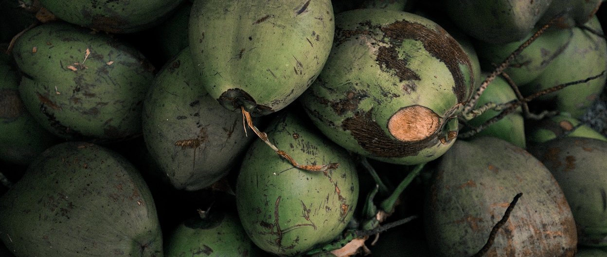 Green coconuts