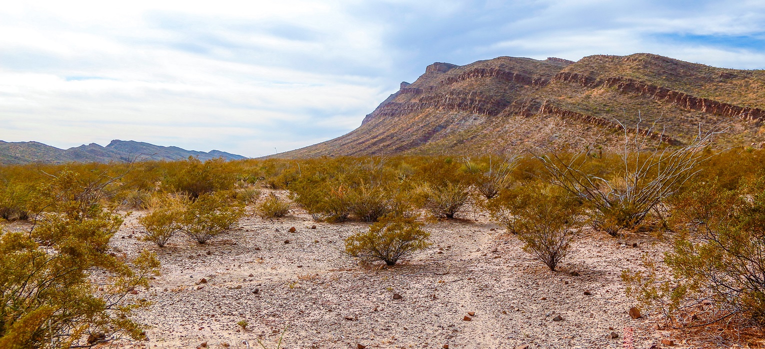 picture of the desert