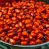 palm fruit