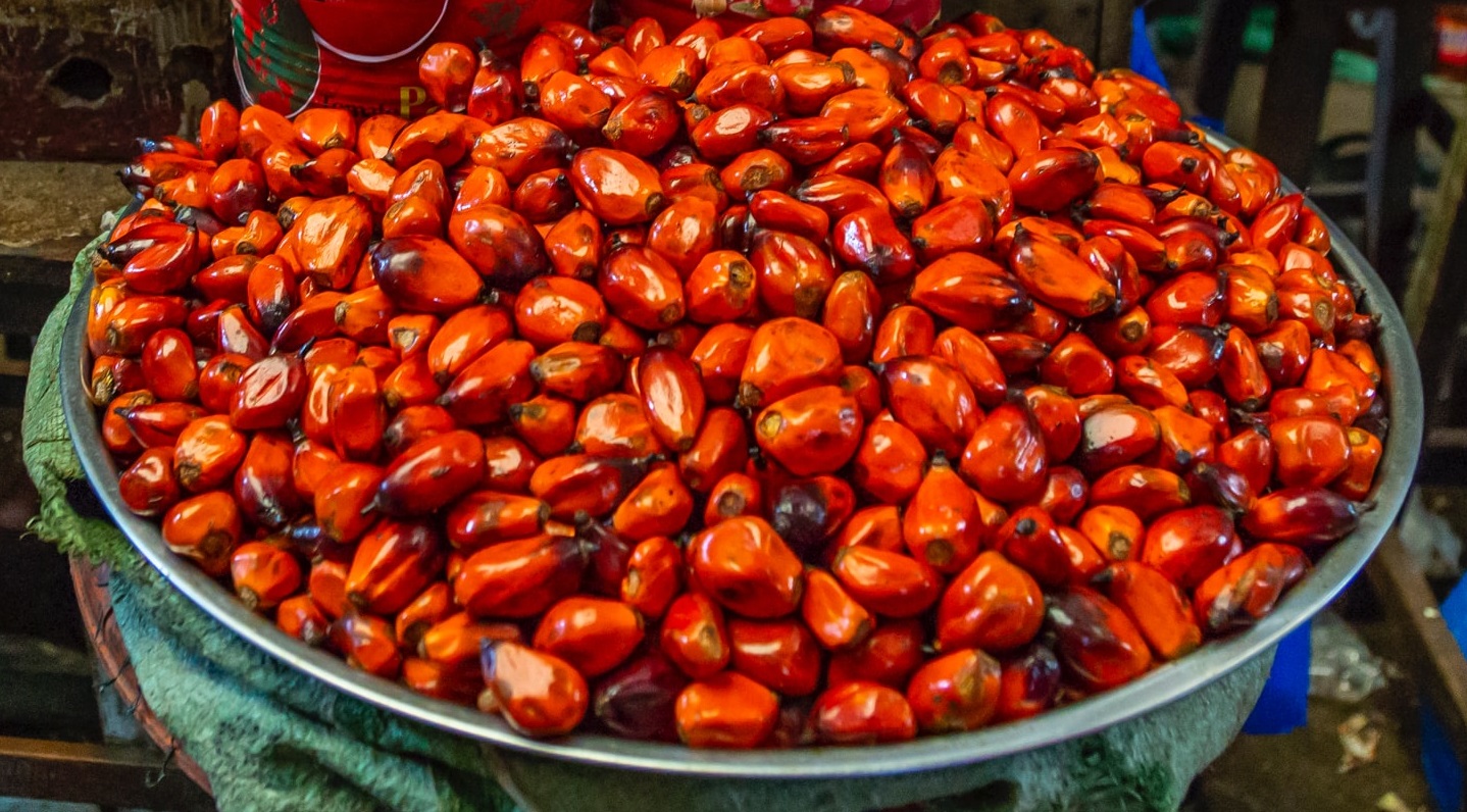 palm fruit