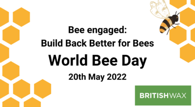 World Bee Day 2022