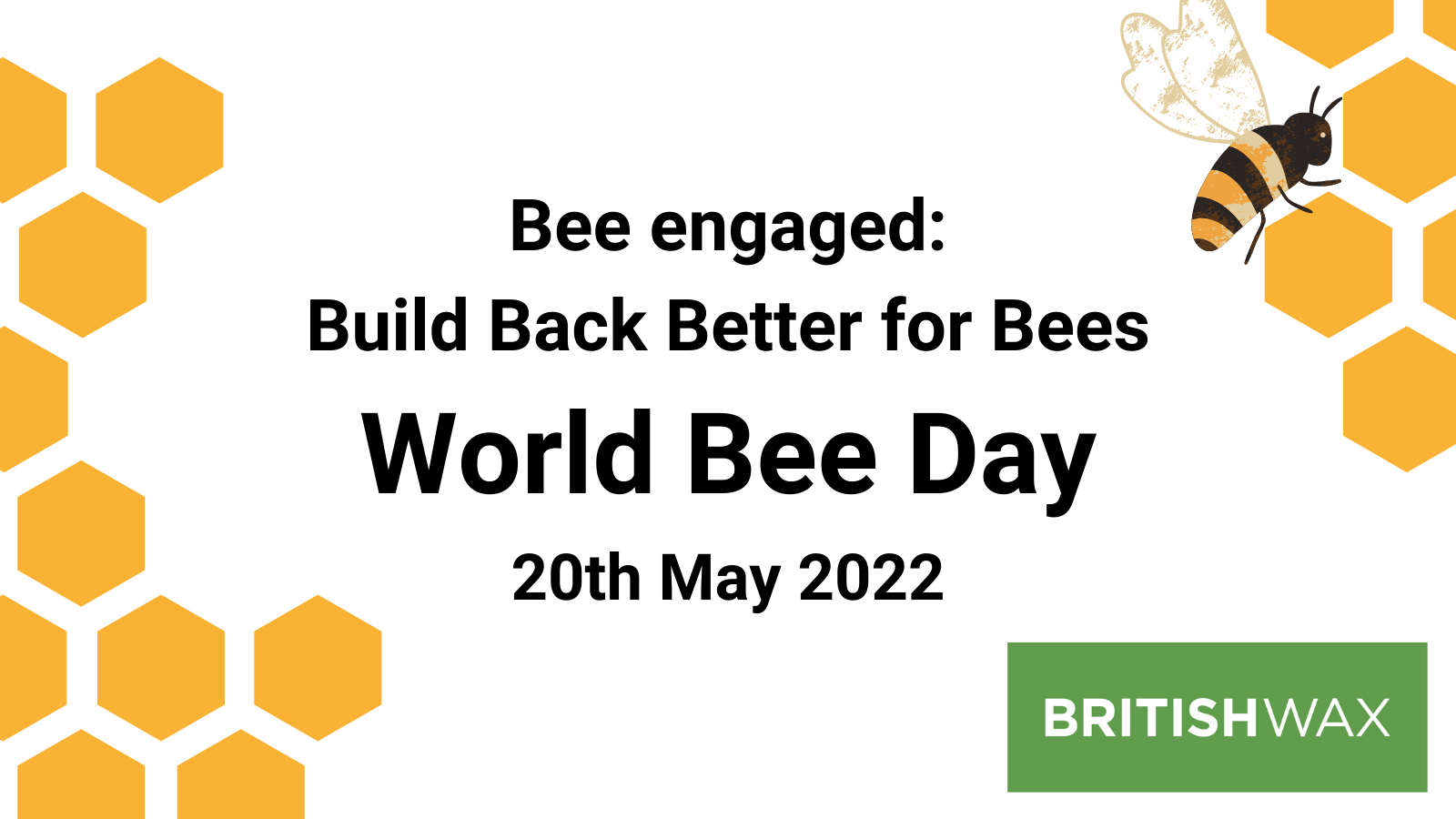 World Bee Day 2022