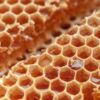 honeycomb