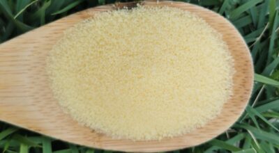 The Benefits of Organic Candelilla Wax for Cosmetics and Personal Care