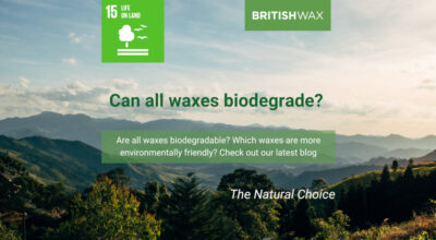 Is Wax Biodegradable?