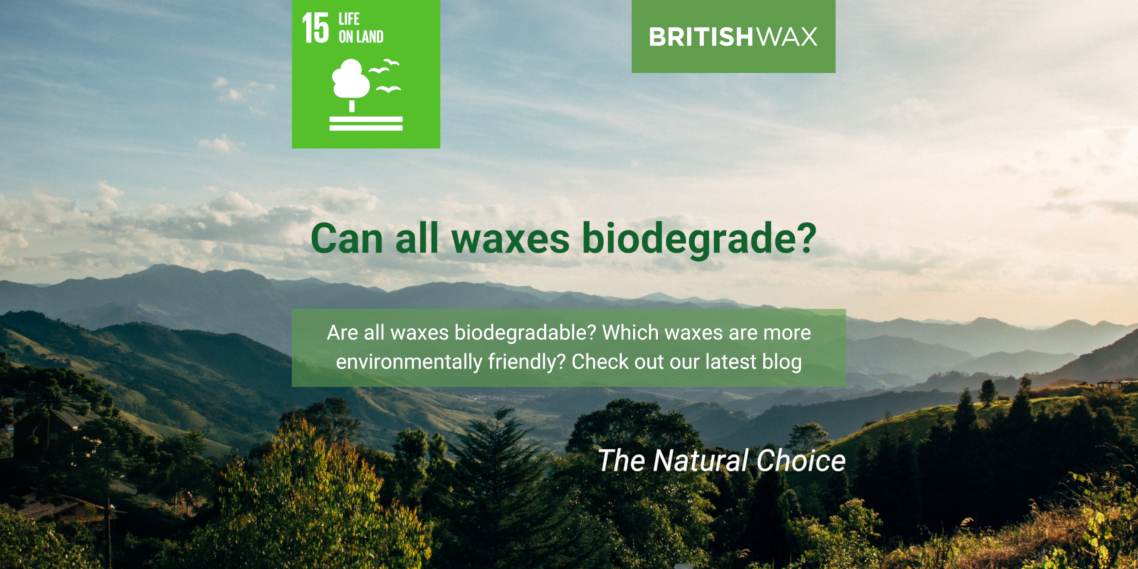 Is Wax Biodegradable?